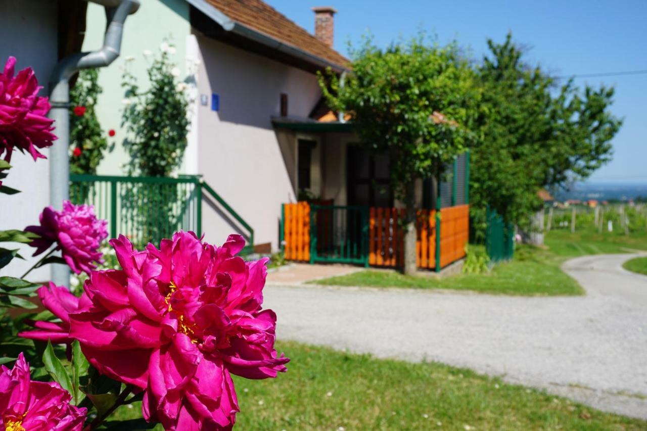 Holiday Home Maderka Strigova Exterior photo