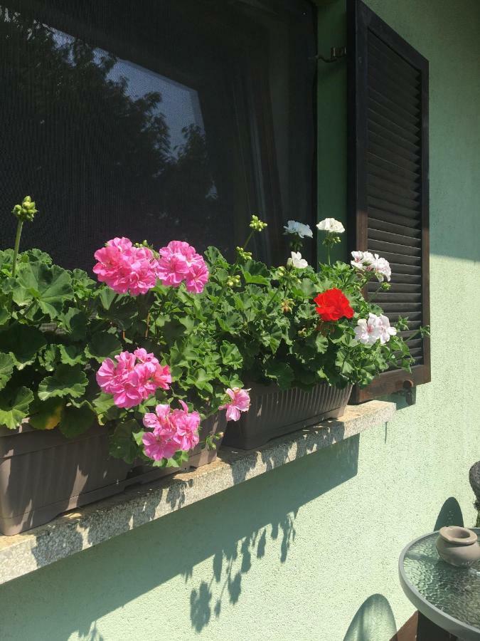 Holiday Home Maderka Strigova Exterior photo